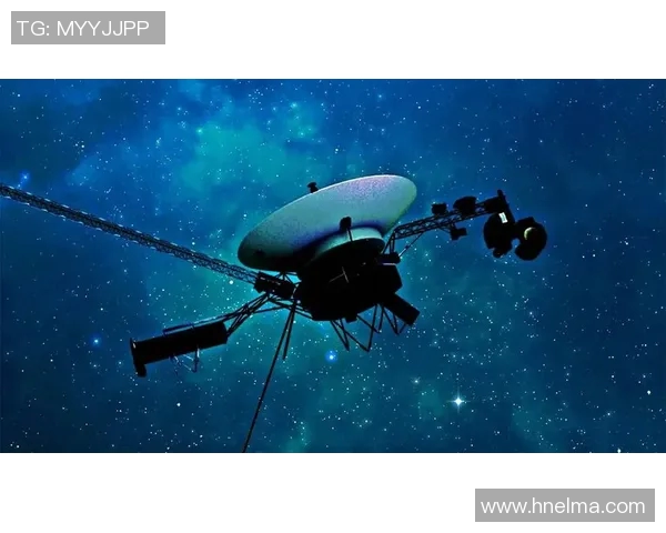 布拉尔的传奇旅程探索与发现背后的故事与启示 布拉尔的传奇旅程探索与发现背后的故事与启示