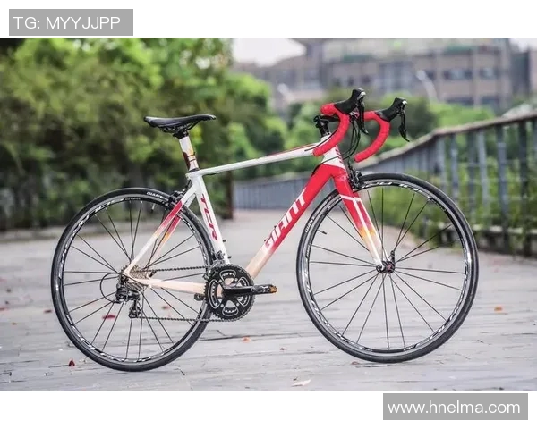 探索捷安特TCR的骑行魅力与性能优势，助你畅享每一次骑行体验