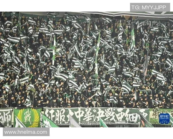 国安迎战成都足协杯激战在即球迷期待精彩对决与胜利时刻 国安迎战成都足协杯激战在即球迷期待精彩对决与胜利时刻